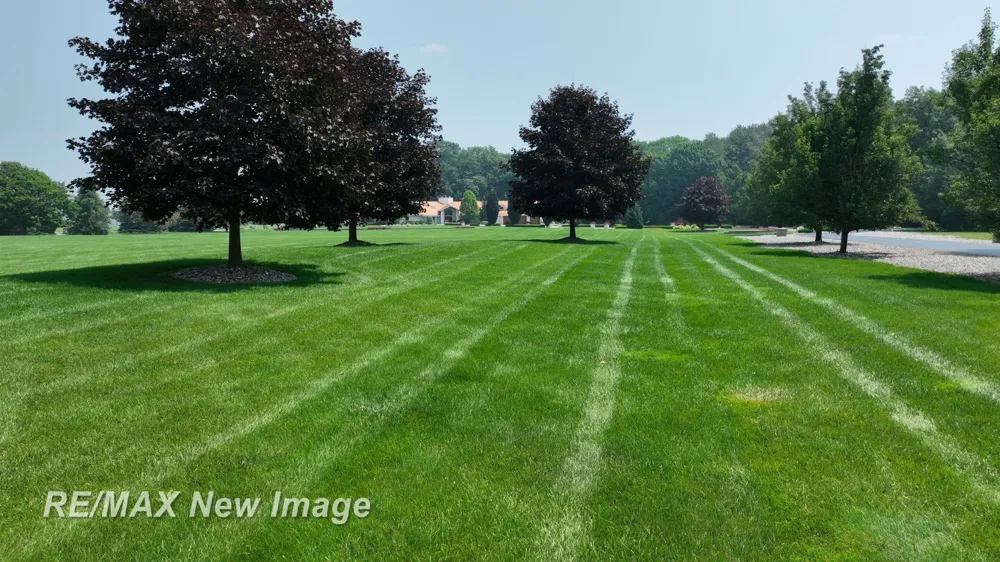 1134 Graham Road Thomas Township, MI 48609