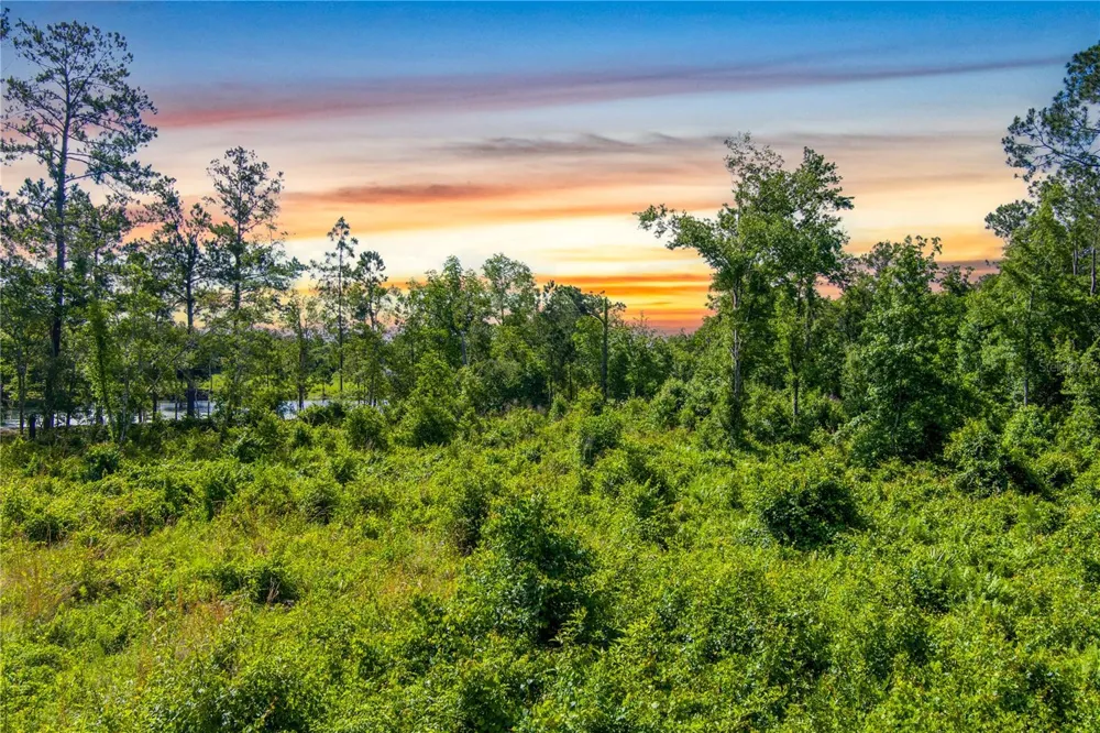 3201 E RAULERSON ROAD St Augustine, FL 32092