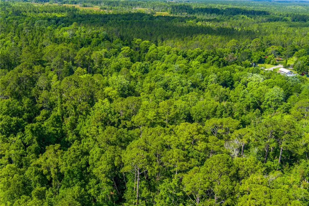 3201 E RAULERSON ROAD St Augustine, FL 32092