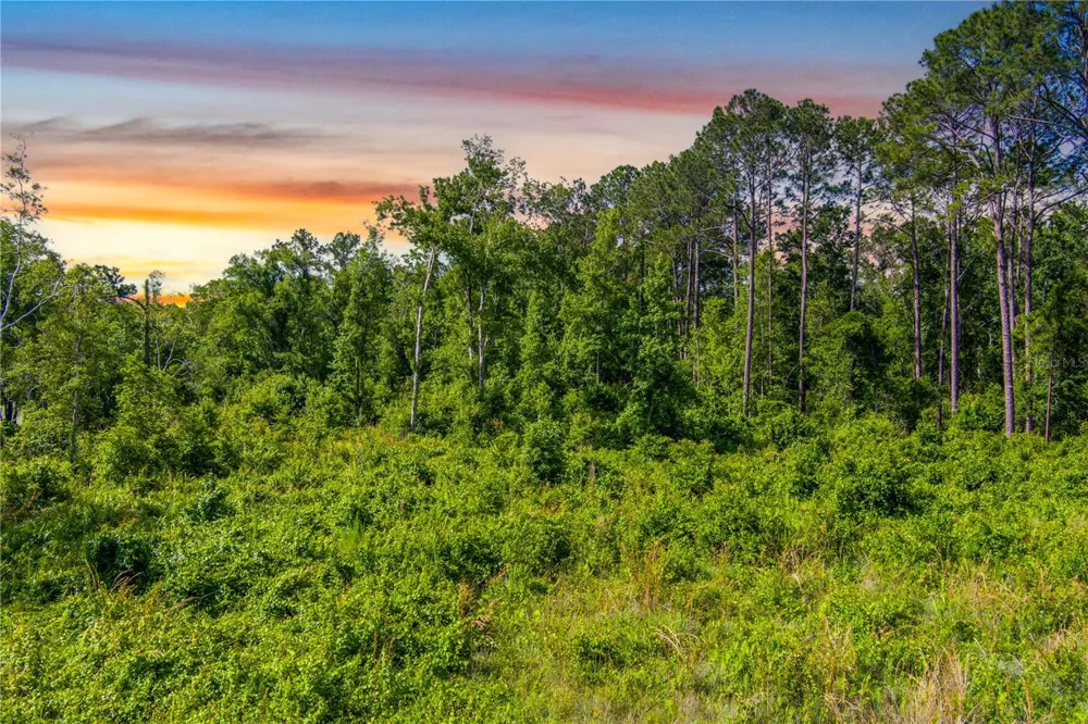 3201 E RAULERSON ROAD St Augustine, FL 32092