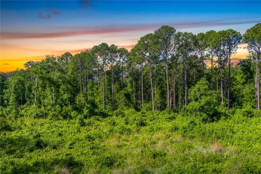 3201 E RAULERSON ROAD St Augustine, FL 32092