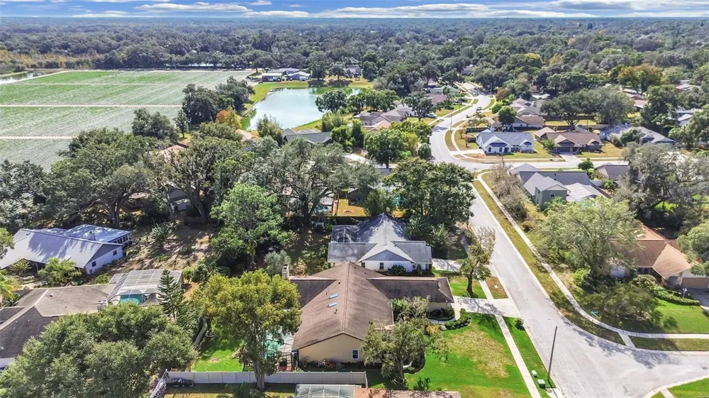 305 RUNNING HORSE ROAD Seffner, FL 33584