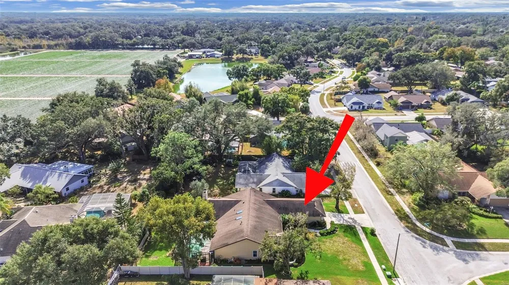 305 RUNNING HORSE ROAD Seffner, FL 33584