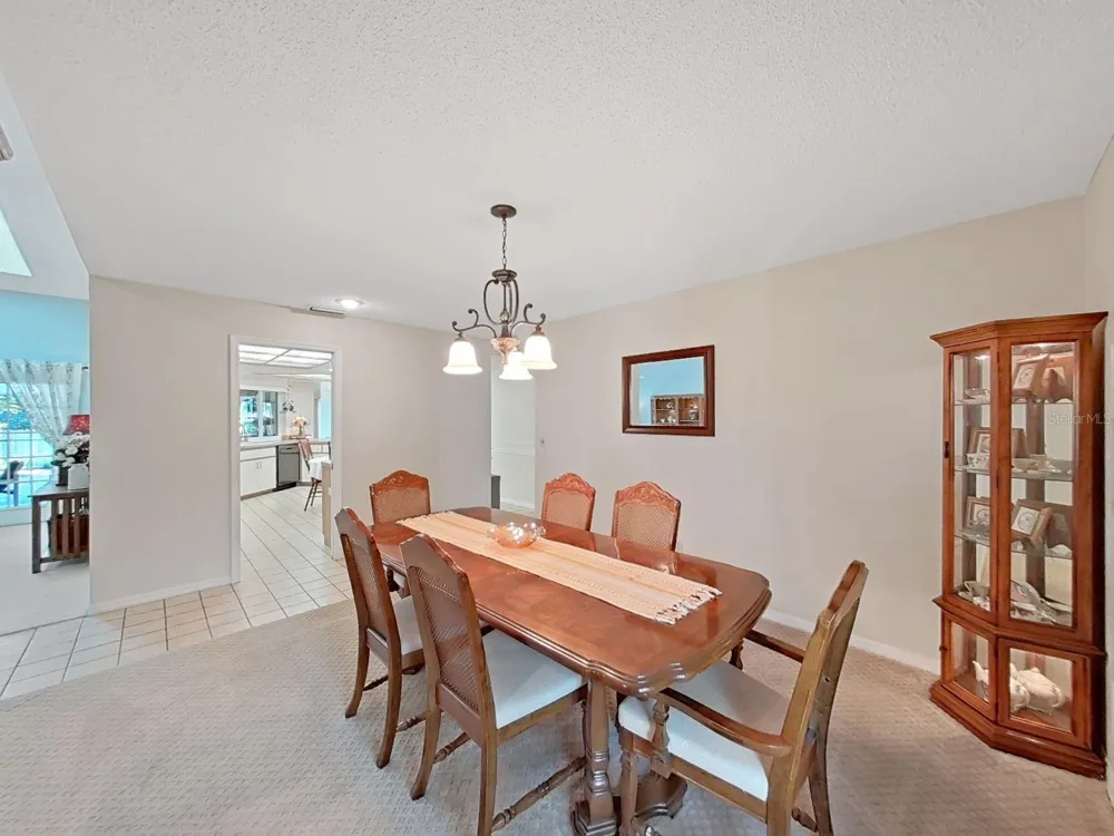305 RUNNING HORSE ROAD Seffner, FL 33584