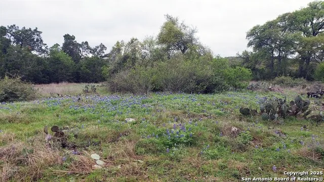 301 rim rock ranch San Marcos, TX 78666
