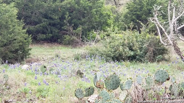 301 rim rock ranch San Marcos, TX 78666