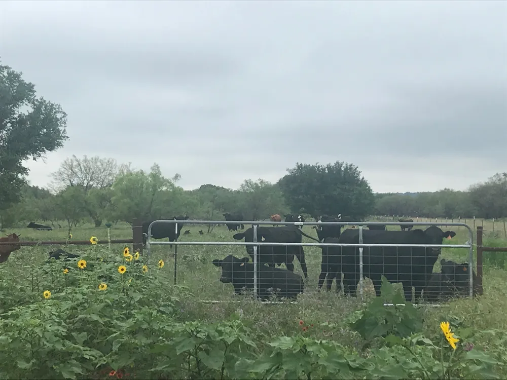 County Road 154 Breckenridge, TX 76424