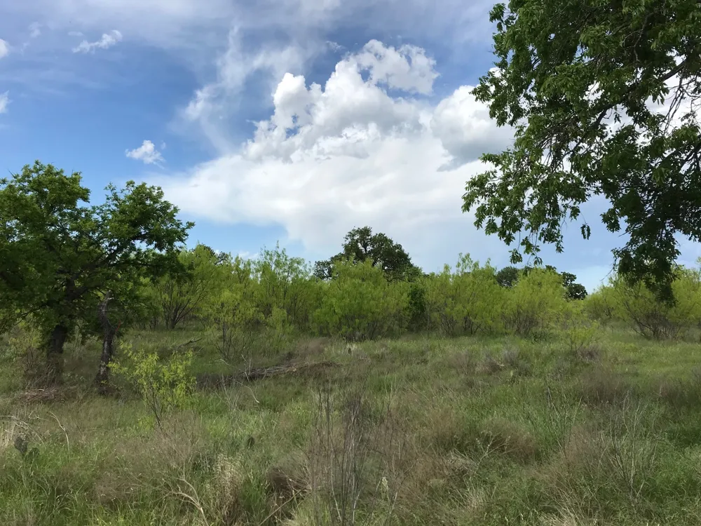 County Road 154 Breckenridge, TX 76424