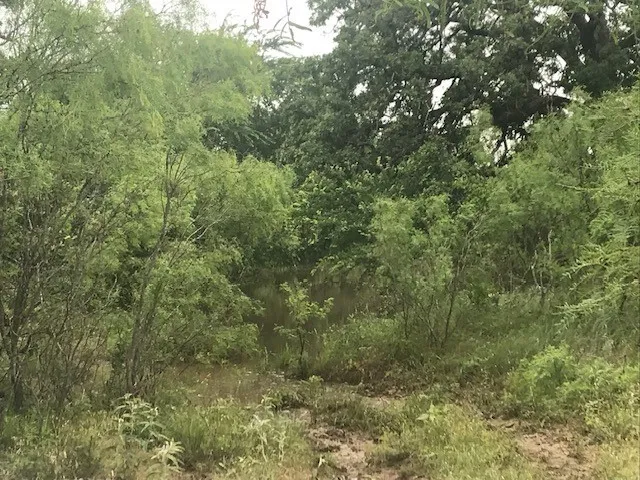 County Road 154 Breckenridge, TX 76424