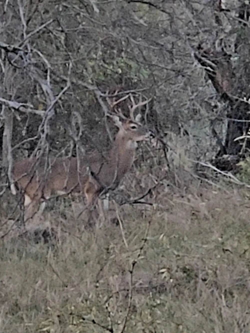 County Road 154 Breckenridge, TX 76424
