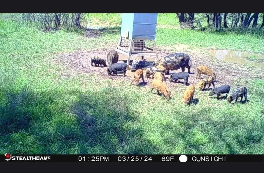County Road 154 Breckenridge, TX 76424