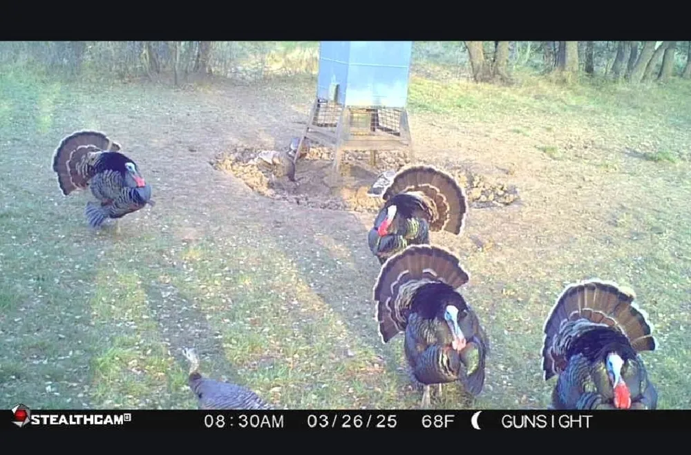 County Road 154 Breckenridge, TX 76424