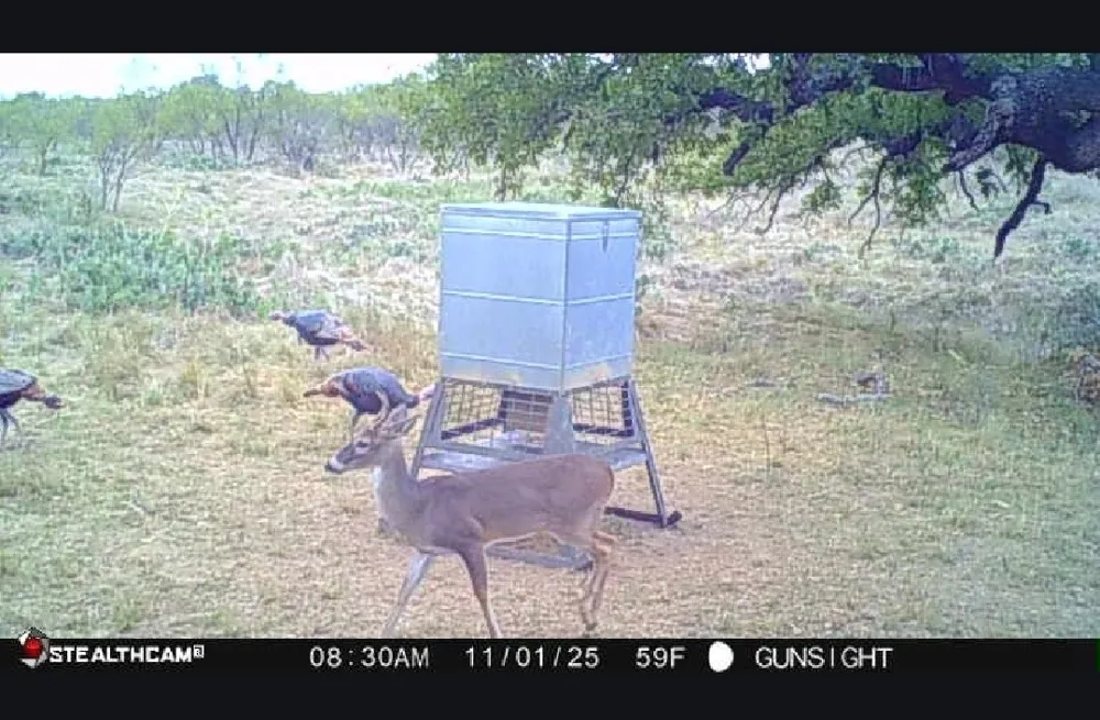 County Road 154 Breckenridge, TX 76424