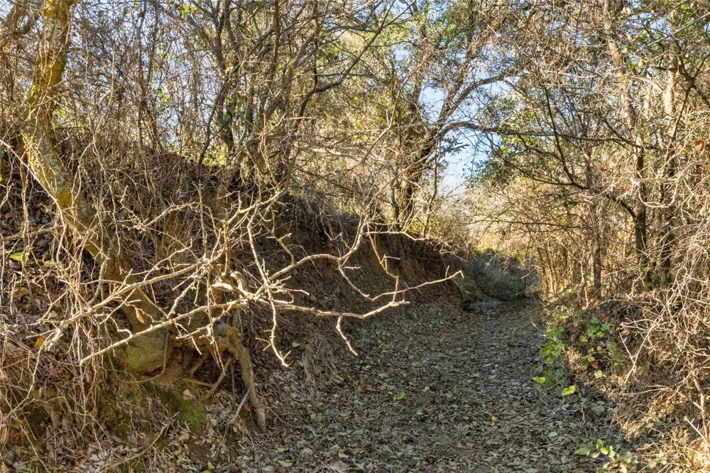 County Road 154 Breckenridge, TX 76424