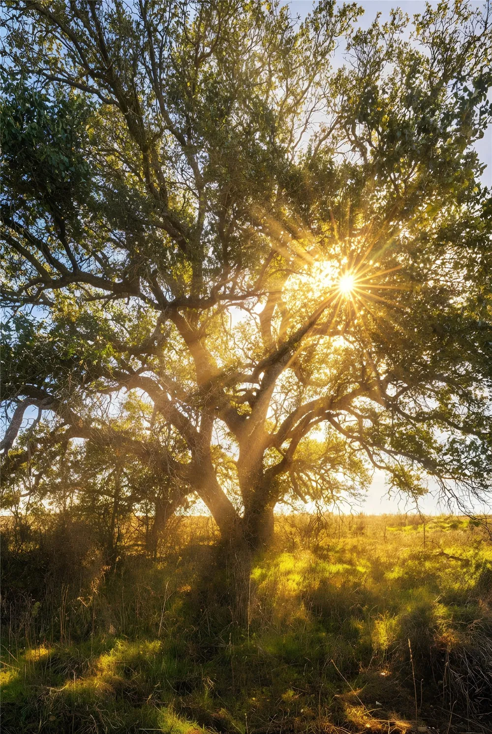County Road 154 Breckenridge, TX 76424