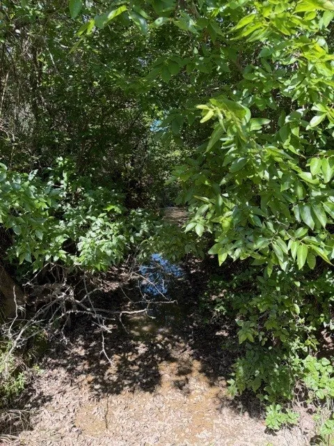 County Road 154 Breckenridge, TX 76424