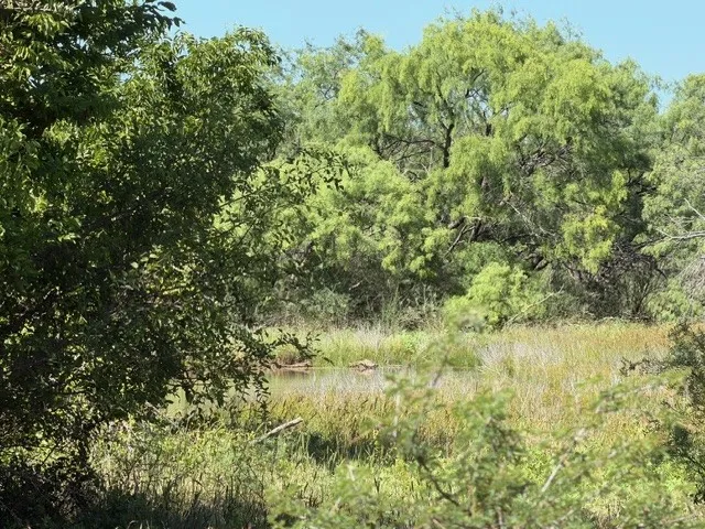County Road 154 Breckenridge, TX 76424
