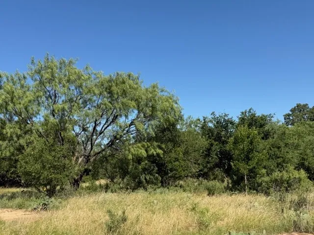 County Road 154 Breckenridge, TX 76424