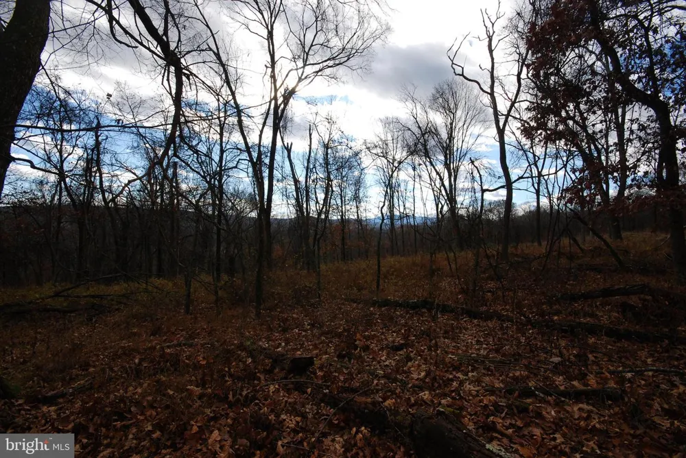 MILL MOUNTAIN ROAD Romney, WV 26757