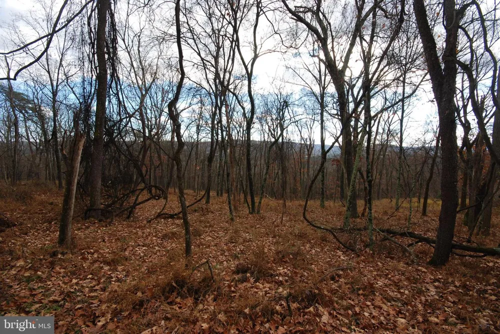 MILL MOUNTAIN ROAD Romney, WV 26757