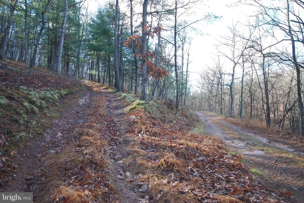 MILL MOUNTAIN ROAD Romney, WV 26757