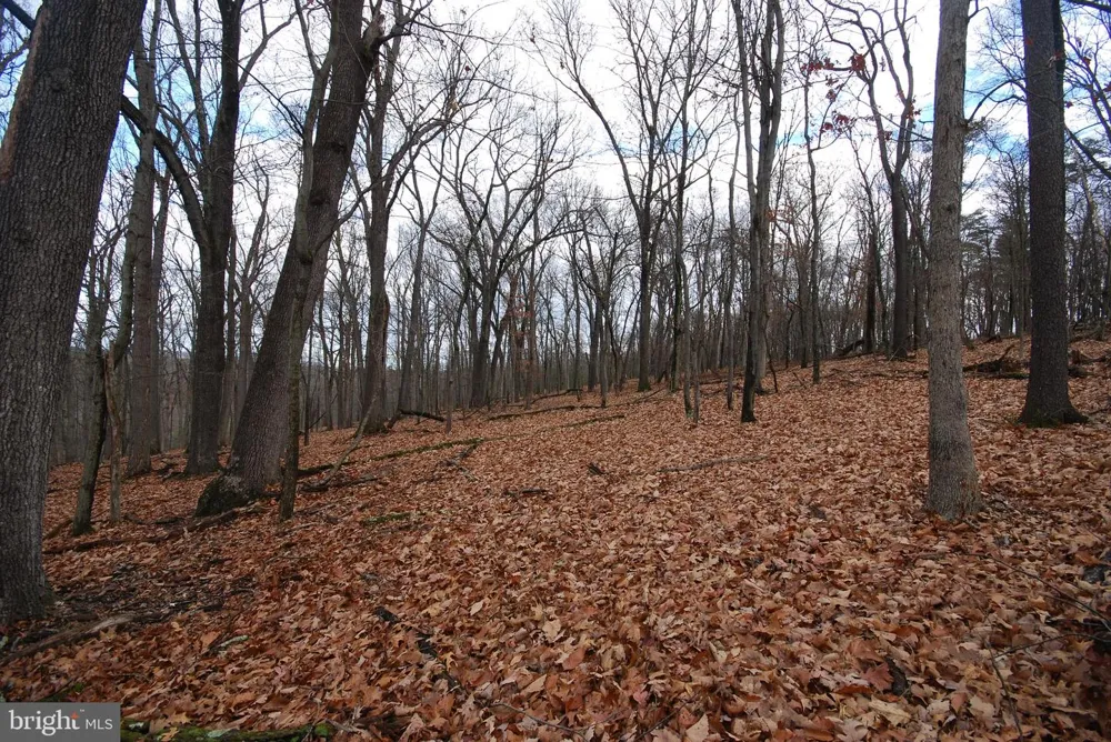 MILL MOUNTAIN ROAD Romney, WV 26757