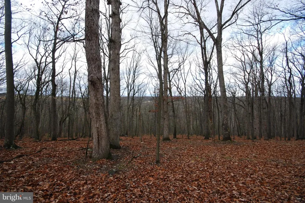 MILL MOUNTAIN ROAD Romney, WV 26757