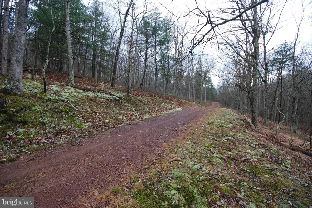 MILL MOUNTAIN ROAD Romney, WV 26757