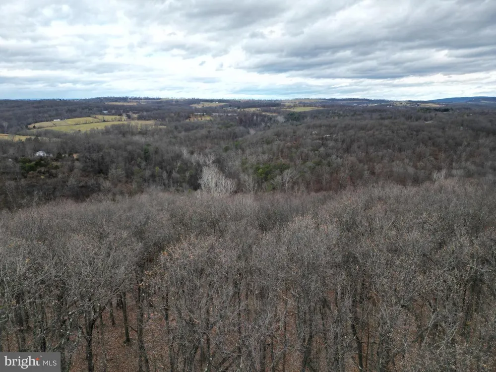 MILL MOUNTAIN ROAD Romney, WV 26757