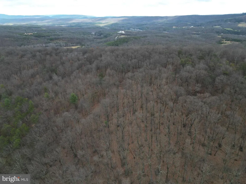 MILL MOUNTAIN ROAD Romney, WV 26757
