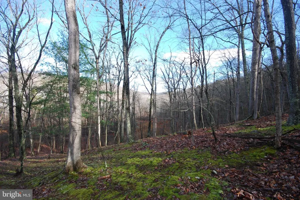 MILL MOUNTAIN ROAD Romney, WV 26757