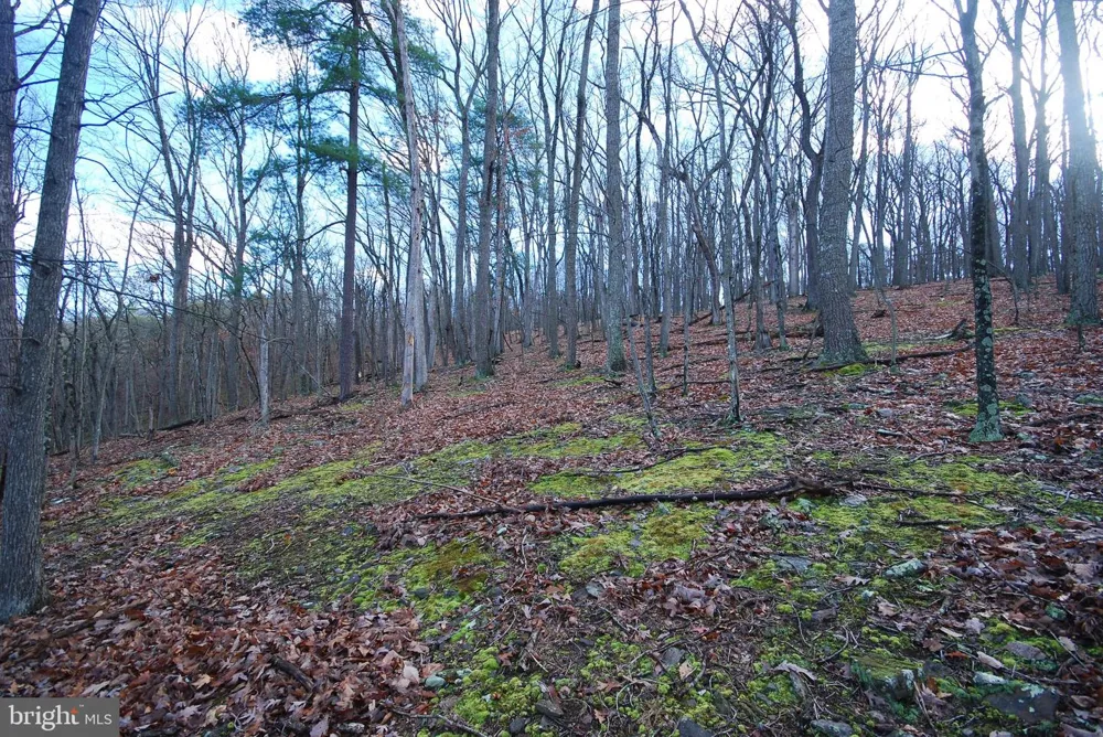 MILL MOUNTAIN ROAD Romney, WV 26757