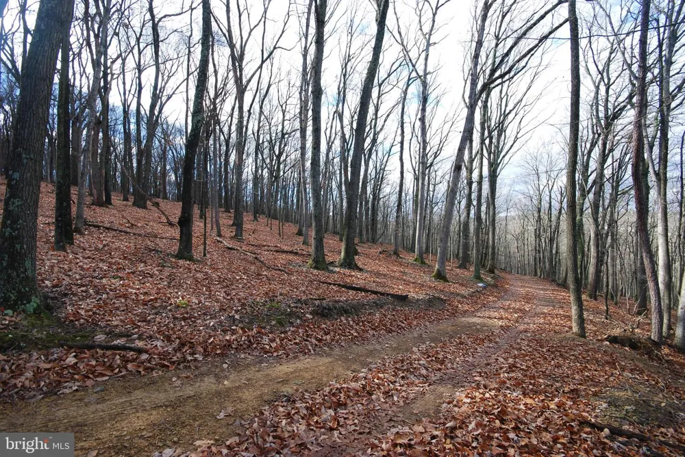 MILL MOUNTAIN ROAD Romney, WV 26757