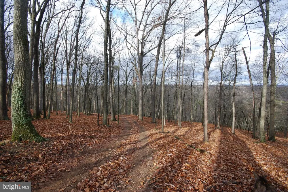 MILL MOUNTAIN ROAD Romney, WV 26757