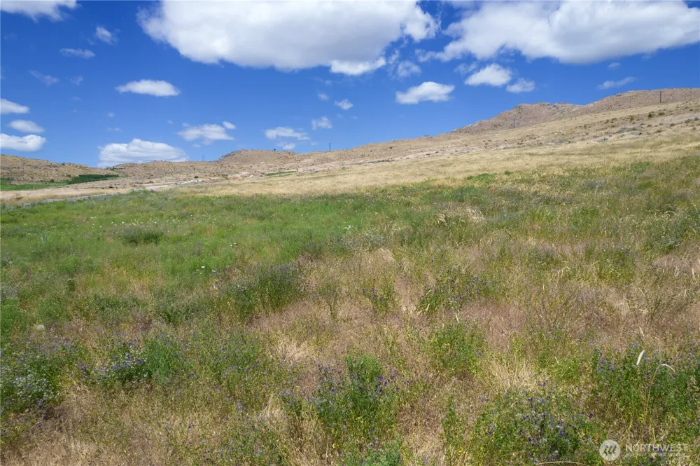 0 NNA Bill Shaw Road Pateros, WA 98846