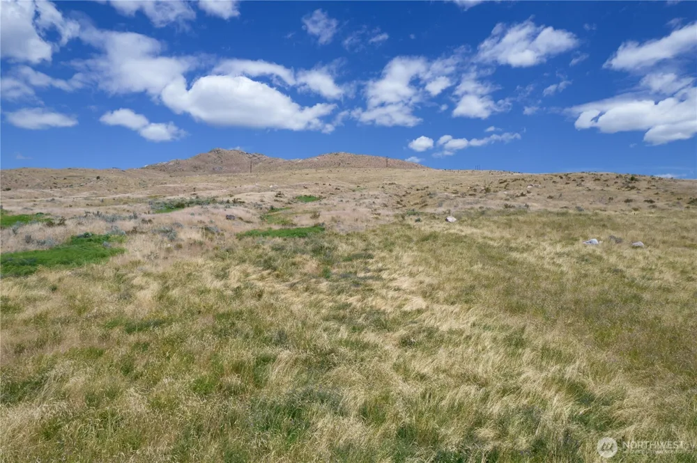 0 NNA Bill Shaw Road Pateros, WA 98846