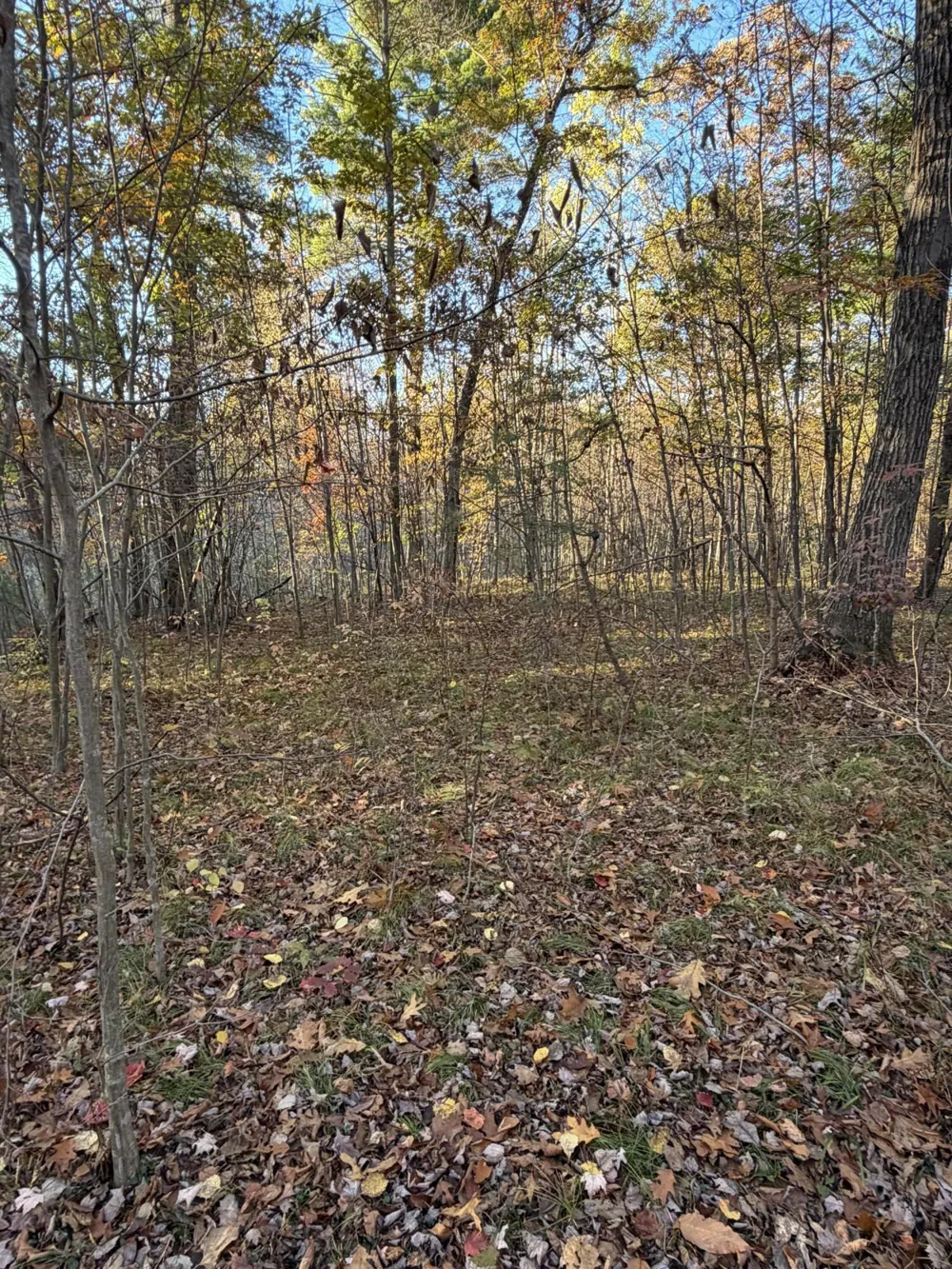 Maple Hill Road #Parcel D Howard City, MI 49329