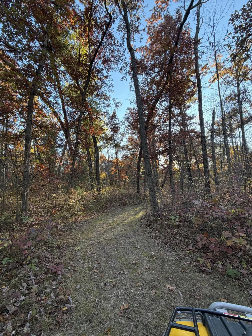 Maple Hill Road #Parcel D Howard City, MI 49329