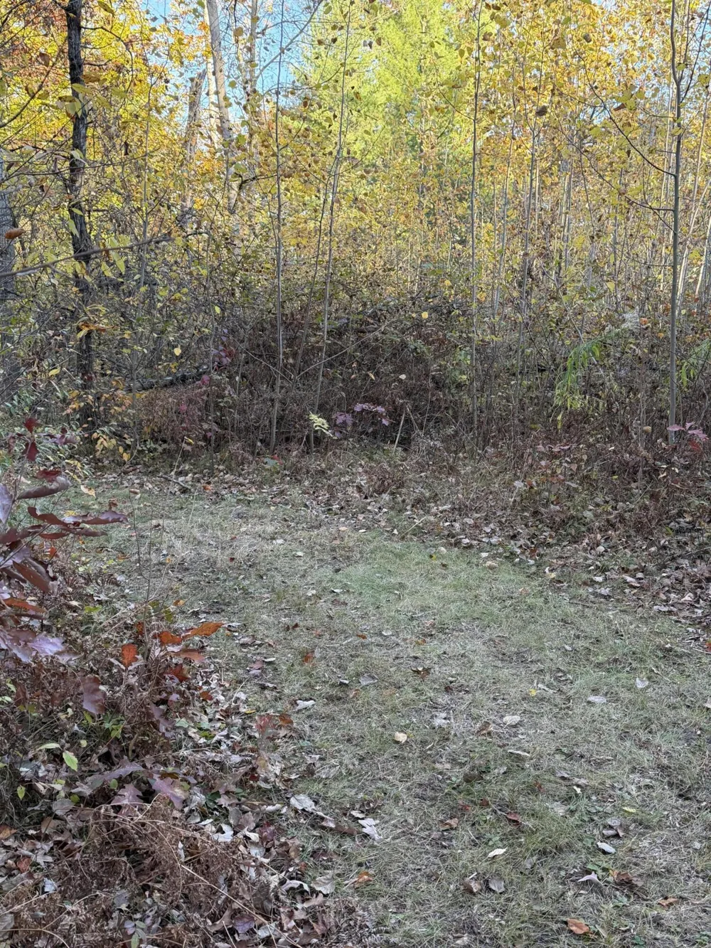 Maple Hill Road #Parcel D Howard City, MI 49329