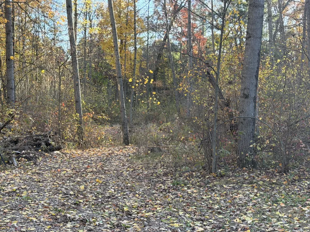 Maple Hill Road #Parcel D Howard City, MI 49329
