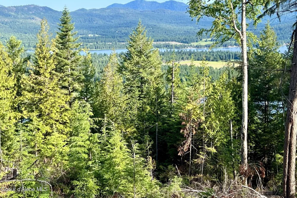 NNA  Lot 8 Luna Ridge Sagle, ID 83860