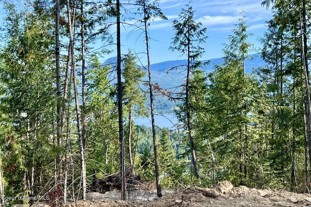 NNA  Lot 8 Luna Ridge Sagle, ID 83860