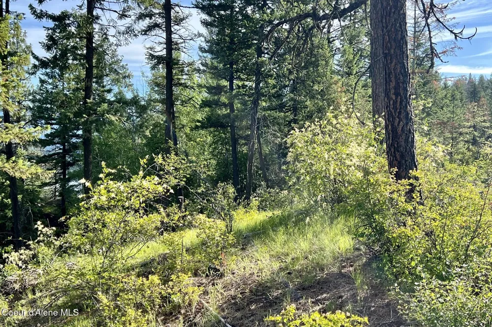 NNA  Lot 8 Luna Ridge Sagle, ID 83860
