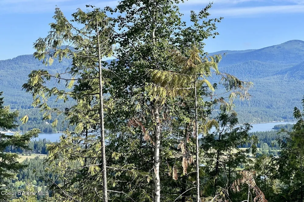 NNA  Lot 8 Luna Ridge Sagle, ID 83860