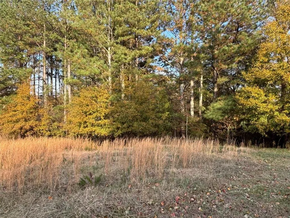222 Norman Road Athens, GA 30607