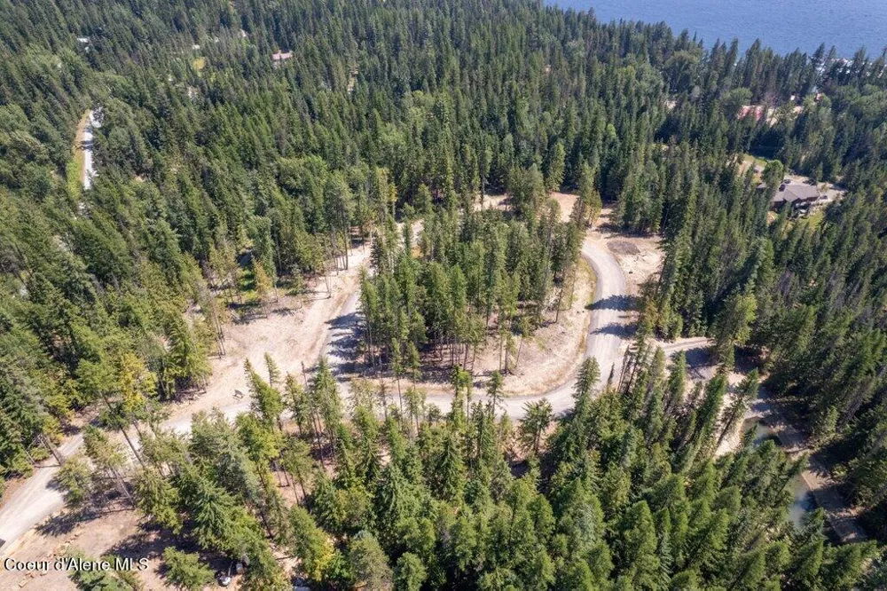Lot 3 Brown Bear Drive Nordman, ID 83848