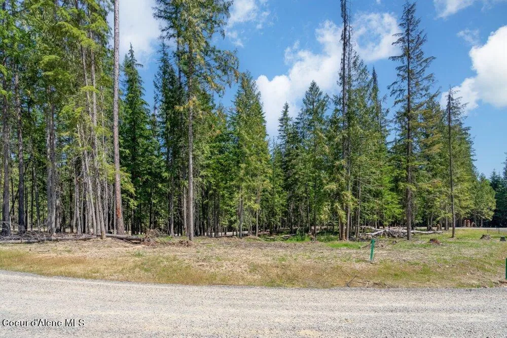 Lot 3 Brown Bear Drive Nordman, ID 83848