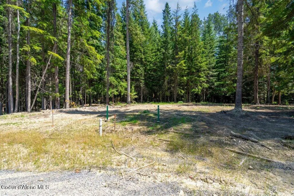 Lot 3 Brown Bear Drive Nordman, ID 83848