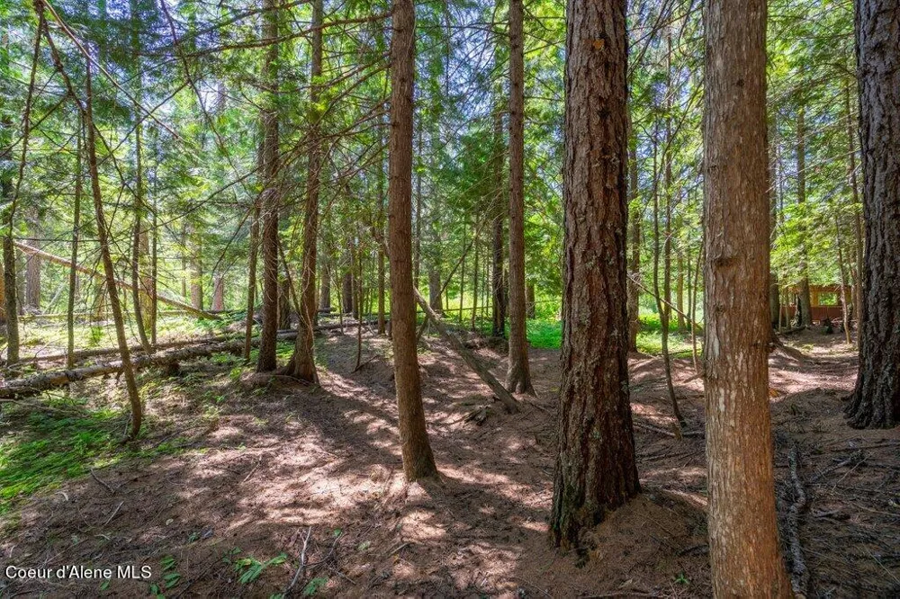 Lot 3 Brown Bear Drive Nordman, ID 83848