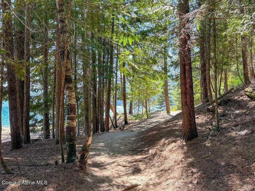 Lot 3 Brown Bear Drive Nordman, ID 83848